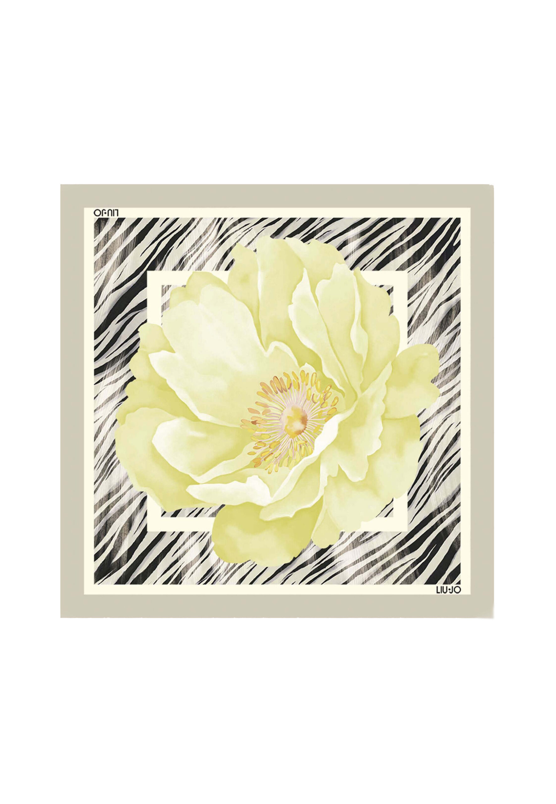 product-110345-553123014-jpg