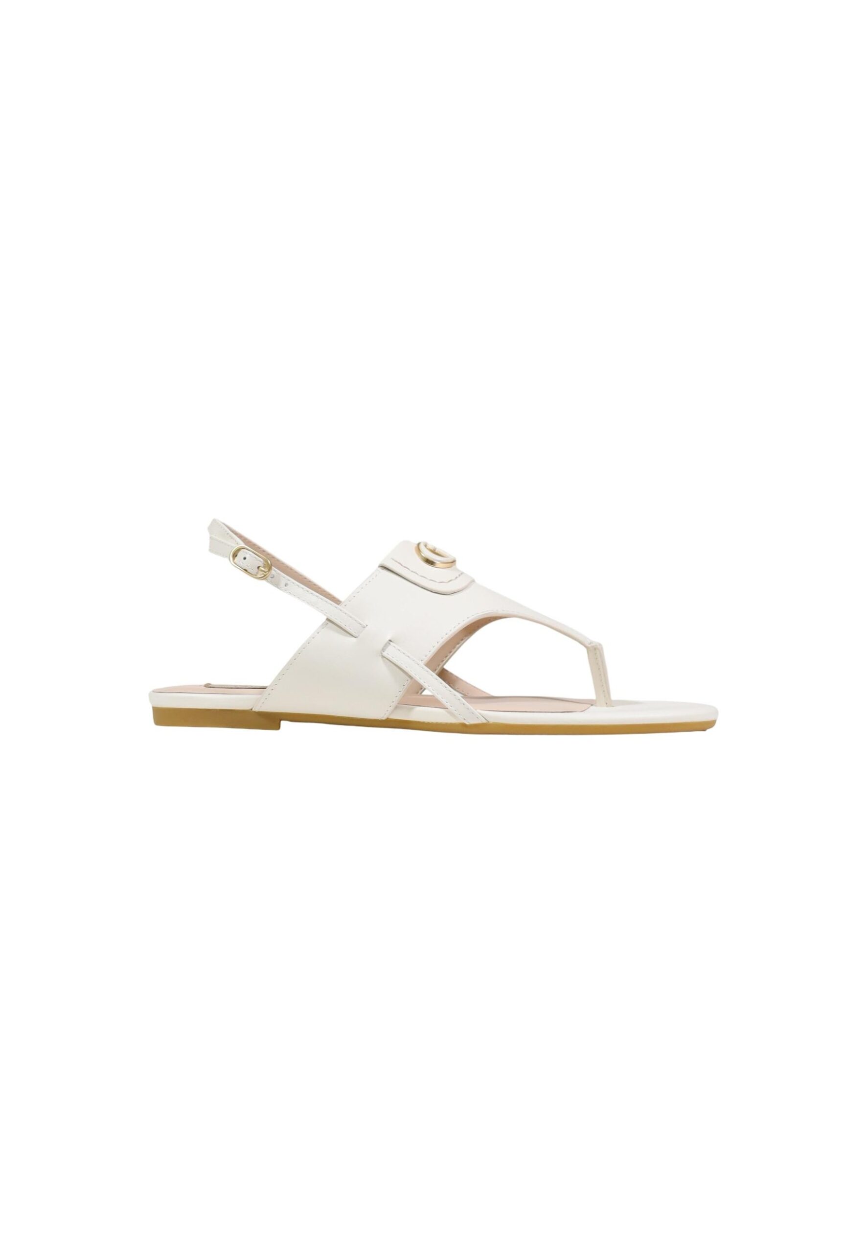 product-111600-2080796704-jpg